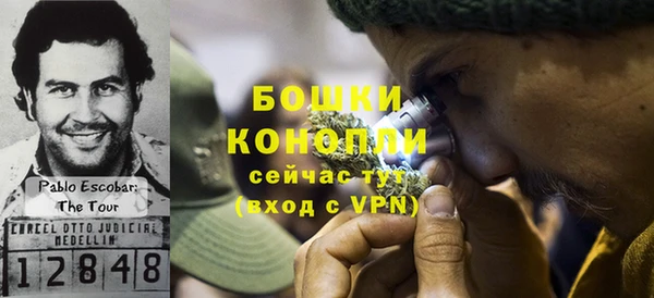 прущая мука Гусев