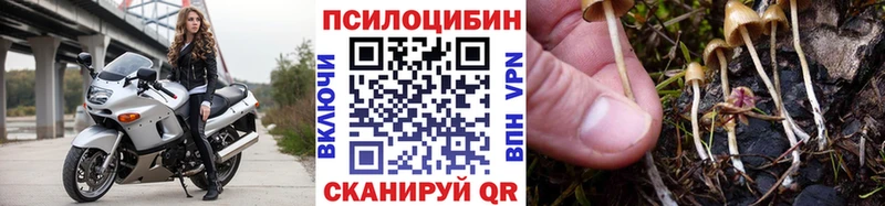 цены   Данилов  Галлюциногенные грибы ЛСД 